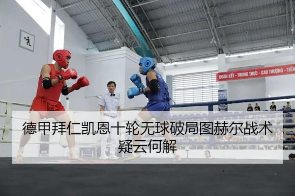 德甲拜仁凯恩十轮无球破局图赫尔战术疑云何解